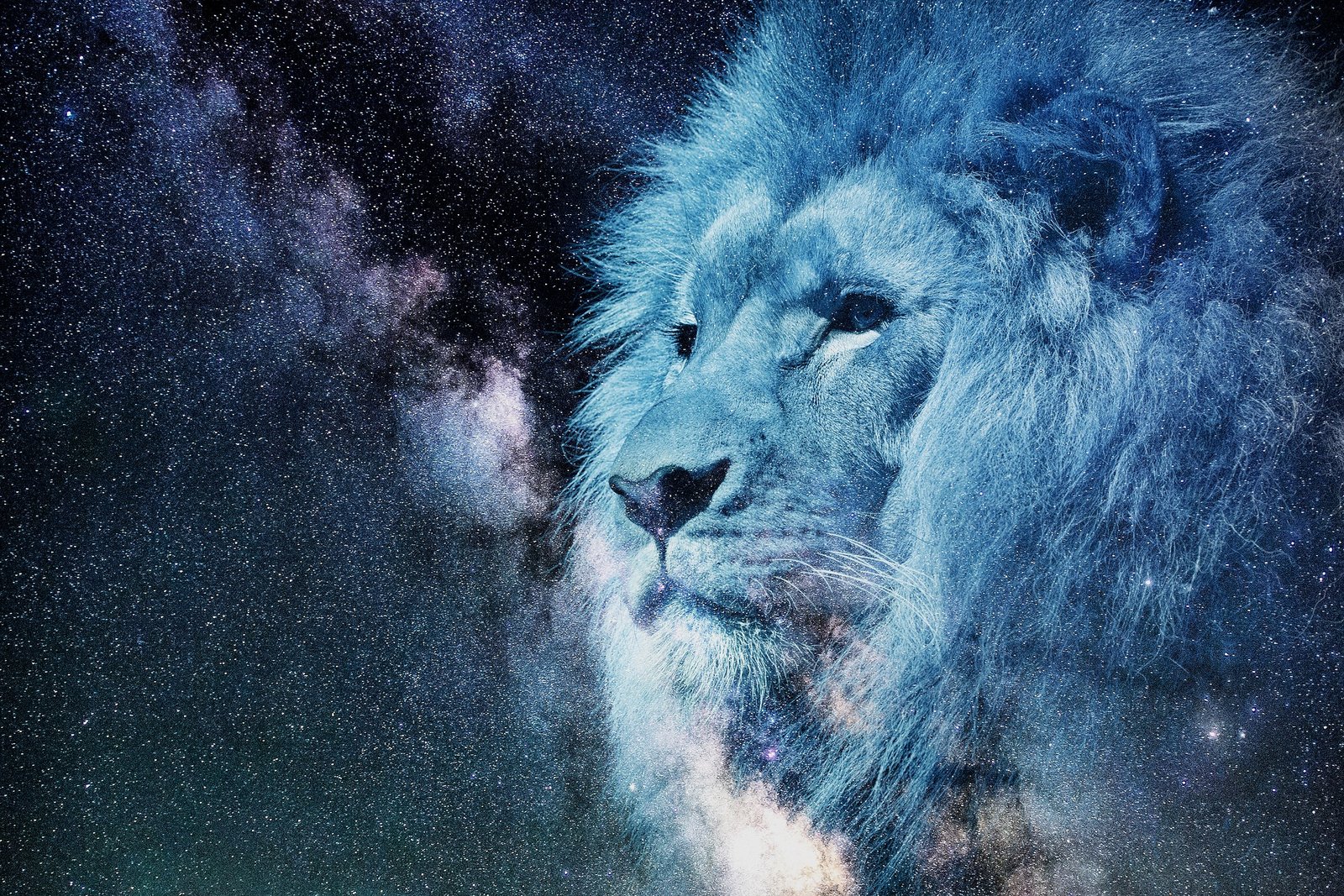 Group cover image